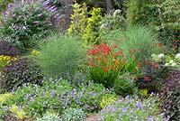 Prenez 12 parterres de fleurs à Foggy Bottom, Bressingham Gardens, Norfolk, Royaume-Uni. Parterre de fleurs mélangé avec les douze principales plantes d'Adrian Bloom. Août, été.