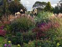The Anniversary Grass Garden comprenant Miscanthus, Cordaderia, Deschampsia et Stipa graminées vivaces - Persicaria amplexicaulis 'Atrosanguinea', Verbena bonariensis et Sedum.