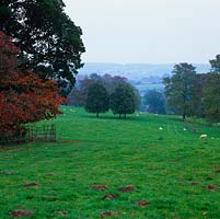 Parcourez des touffes d'arbres et des moutons paissant vers les lointaines collines de Malvern.