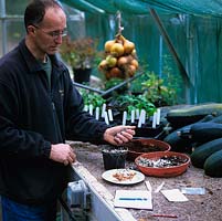 Stephen Lloyd, jardinier en chef, dans sa serre où il a propagé de nombreuses plantes rares à partir de graines récoltées dans la nature. Ici, il verse une couche de compost et de mélange de perlite sur les graines.