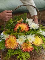 Elizabeth Walker fait un arrangement de fleurs dans un panier, en utilisant des dahlias juste cueillis dans son jardin.