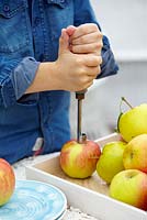 Malus domestica Duo apple - personne utilisant un carottier à pommes