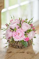 Roses roses dans un arrangement de panier. Rosa 'Rosalind '. Roses à fleurs coupées produites par David Austin Roses