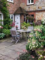 Cour isolée avec table et chaises au milieu de pots de fougère arborescente, hosta, lis hybrides d'Asie, pelargonium et Fuchsia 'Mme W Rundle' standard F. 'Celia Smedley '.