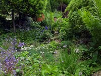 Un jardin de rocaille avec une plantation mixte comprenant de la ciboulette, des roses, des fraises, de la campanule, du géranium, de l'alchémille entourée de fougères, de l'acer et d'un laurier.