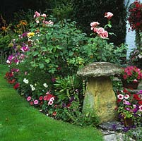 Incrustation de pierre en pierre dans le parterre de roses d'été, le cosmos et le pétunia.