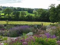 Parterres herbacés informels et un pré de fleurs annuel, avec vue sur les collines de Mendip, Holt Organic Garden.