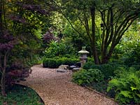 Un jardin ombragé aux influences japonaises avec lanterne et plan d'eau. Un Pittosporum à tiges multiples, des Acers et du bambou sont plantés de Buxus, de Géranium, d'Epimedium et de fougères tolérants à l'ombre.