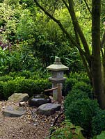 Un jardin ombragé aux influences japonaises avec lanterne et plan d'eau. La plantation comprend Buxus, géranium, Epimedium et fougères tolérants à l'ombre.