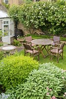 Jardin de ville avec table et chaises sur petite pelouse à côté de la véranda. Boîte, Salvia officinalis et Rosa 'Alberic Barbier' poussant sur le mur.