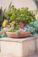 Jardin de Suzy Schaefer, Rancho Santa Fe, Californie, USA. Pot en terre cuite avec une plante Crassula ovata et autres plantes succulentes.