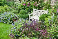 Le jardin clos planté de violets, roses et bleus, notamment Geranium Rozanne - 'Gerwat', Salvia nemerosa 'Caradonna', Astrantia 'Hadspen Blood', dahlias et boîte clippée à côté d'un banc en bois. Bosvigo, Truro, Cornwall, UK