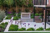 Jardin de ville conçu par Kate Gould. Balles en boîte intercalées d'allium violet et blanc. La terrasse en contrebas a une cheminée à foyer ouvert. Sur une clôture lointaine, les hostas reposent sous de grands bambous dorés.