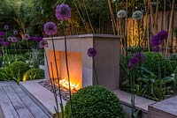 Jardin de ville conçu par Kate Gould, éclairé la nuit. Les flammes d'une cheminée à gaz ouverte illuminent la terrasse engloutie qui est bordée de parterres de boules de boîtes entrecoupées d'allium violet et blanc. La limite arrière est plantée de grands bambous dorés.