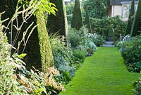 Le Yew Walk dominé par dix hautes flèches d'ifs entrecoupées de plantations en bleu, argent et blanc avec des éclairs d'abricot. Wollerton Old Hall, nr Market Drayton, Shropshire, Royaume-Uni