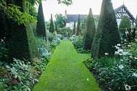 Le Yew Walk dominé par dix hautes flèches d'ifs entrecoupées de plantations en bleu, argent et blanc avec des éclairs d'abricot. Wollerton Old Hall, nr Market Drayton, Shropshire, Royaume-Uni