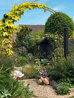 Une arche avec du houblon doré encadre une vue sur un joli jardin de ville avec une plantation de style jardin de cottage.
