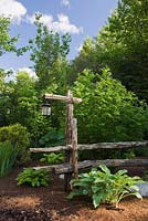 Vieille clôture rustique en bois et lampadaire en parterre de plantes Hosta dans jardin arrière au début de l'été, Québec, Canada