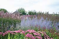 Sedum spectabile 'Autumn Joy', Persicaria amplexicaulis 'Inverleith', Miscanthus, Perovskia 'Blue Spire' - Lady Farm Somerset