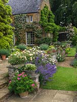 Par maison, terrasse en pierre bordée de menthe, valériane et Rosa Gloire de Dijon se bousculant le long du mur. Pots de pélargonium et de marguerites.