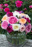 Bouquet de roses dans un vase. De nombreux essais ont été effectués pour trouver les meilleures fleurs coupées en termes de tige rigide, de bonne forme et de parfum, et de résilience aux voyages. David Austin Roses.