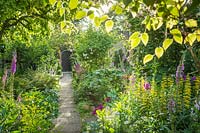 Voir le long du chemin d'accès à la porte dans le jardin Cottage en été. Digitales, Lysimachia punctata, williams doux, roses et fougères