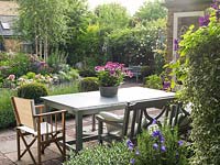 Table et chaises sur terrasse dans jardin de ville. Rétroéclairage soleil bas Clématite 'Etoile Violette', pélargonium rose en pot sur table.