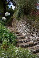 Jardin Cliffe. Marches, mur en pierre sèche et allium blanc.