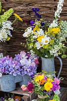 Chez Organic Blooms, les fleurs sont cultivées pour être coupées et arrangées. Ils comprennent le souci, le cosmos, le larkspur, l'ammi, les petits pois, la sauge sclarée, la gale, le william doux, l'achillea, la nicotiana, le bleuet, le clarkia, la grande camomille.