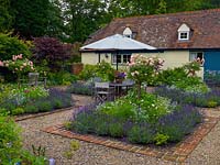 Jardin clos de murs avec parterre de quatre parterres de fleurs carrés, chacun rempli d'une rose standard rose, cosmos, argyranthemum et verveine, et bordé de Lavandula Hidcote.