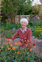 Sue Martin s'occupe d'un parterre de fleurs surélevé planté de quelques-uns des Geums de sa collection nationale de Geums.