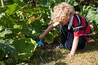 Un enfant désherbant les plantes potagères avec une fourchette