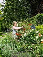 Margaret Arnott dans son parterre de fleurs herbacées en direction de Rosa Sally Holmes sur l'obélisque.