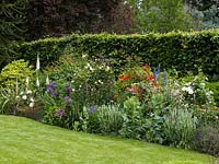 Vue sur pelouse à parterre de digitale, Allium Globemaster, pavot, delphinium, scabious, lavande et roses - blanc Sally Holmes, rouge La Sevillana et crémeux Buff Beauty.