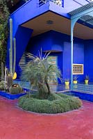 Jardin Majorelle, jardin Yves Saint Laurent. Studio peint en bleu avec cactus - Echinocactus grusonii, Ferocactus pilosus, Trichocereus pachanoi, Cleistocactus strausii, palmier, agaves en pots jaunes