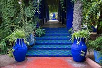 Jardin Majorelle, jardin Yves Saint Laurent, Chlorophytum comosum - Plantes araignées en pots bleus et marches carrelées menant à la pergola