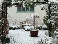 Un patio de jardin avant couvert de neige. Le grand pot avec Acer est flanqué d'une structure hivernale fournie par des balles box.