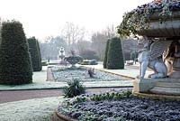 Regent's Park - Avenue Gardens - Frosty morning formal garden avec Ophiopogon planiscapus 'Nigrescens'