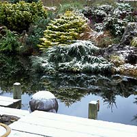 Une scène enneigée de conifères et de rochers miniatures se reflète dans la piscine immobile.