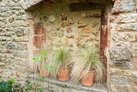 Alcôve dans jardin clos avec des herbes en pots. Beaminster Manor, Beaminster, Dorset, Royaume-Uni