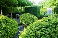 De grands arbustes en vrac à côté d'une cour où quatre cendres pleureuses entraînées, Fraxinus excelsior 'Pendula', fournissent un couvert d'ombre sur les zones de sièges