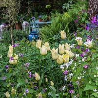 Un patio isolé derrière un parterre de bois ombragé avec des plantes dont Tulipa 'Elegant Lady', Allium, Lunaria et fougères.