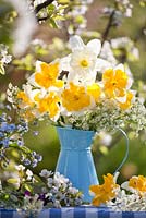 Arrangements floraux avec jonquilles, persil de vache, honnêteté et myosotis. Poirier en fleurs Pyrus communis 'Williams '.