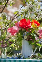 Affichage de fleurs de printemps dans une cruche en émail, comprenant des tulipes, Prunus padus - cerisier des oiseaux, Myosotis arvensis, Allaria petriolata - moutarde à l'ail, Lamium orvala. Poirier en fleurs derrière - Pyrus 'Williams '.