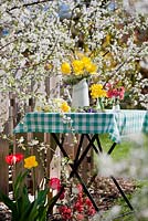 Arrangements floraux de jonquilles, Pulmonaria officinalis et coing japonais
