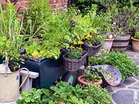 Un patio avec des pots fabriqués à partir d'objets récupérés, y compris un chariot rempli d'herbes, de soucis dans des paniers et de plantes succulentes dans une écope.