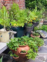 Un patio avec planteur de fraises et pots fabriqués à partir d'objets récupérés, y compris un chariot de chariot rempli d'herbes, de soucis dans des paniers et de plantes succulentes sur des écailles.