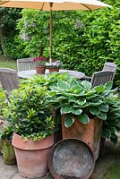 Un petit pot en pot planté de Hosta 'Silk Road', Hosta 'Great Expectations', Hosta 'June' et Bay avec des meubles de jardin en bois sur un petit patio en pierre derrière.