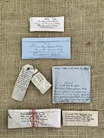 The Heritage Seed Library - une sélection de sachets de semences de légumes. Au Victorian Times, les graines de légumes étaient échangées de manière informelle entre amis et jardiniers, et traversaient des générations de la même famille, souvent accompagnées de notes horticoles manuscrites.
