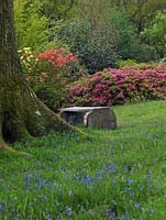 Jardin boisé centenaire, environ 27 acres de plantes rares, d'arbres et d'arbustes. Au printemps, il est connu pour ses rhododendrons, acers et jacinthes anglaises. Hauts hêtres